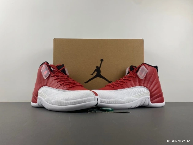 Rep 130690-600 Jordan 12 Alternate Air 0811